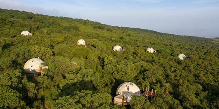 球形帐篷在浙江海岛迎来露营旅游爆发